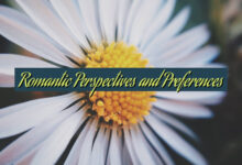 Romantic Perspectives and Preferences